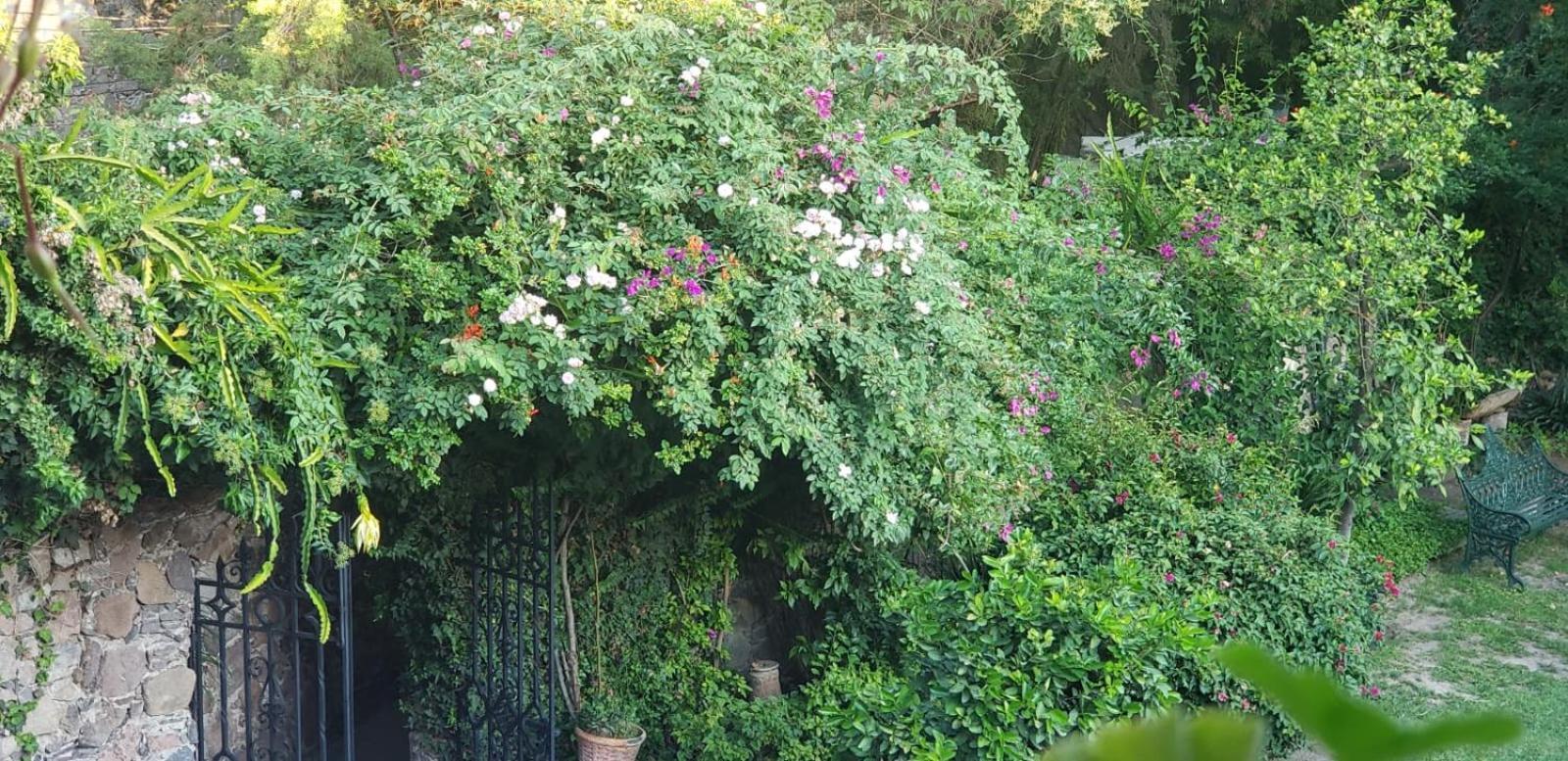 Tres Fuentes Hotel Boutique San Miguel de Allende Exterior photo